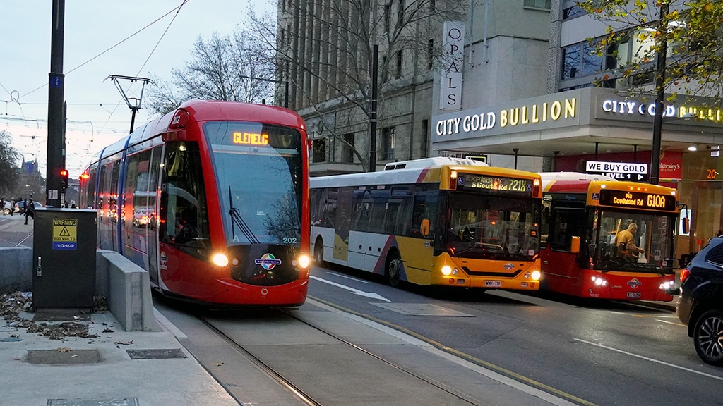 A red citadis tram next to 2 Adelaide Metro buses on King William Street, Adelaide. It is dusk and all have headlights on.